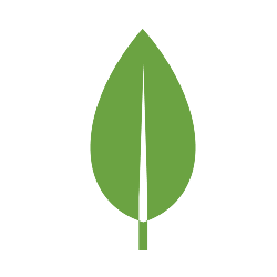 MongoDB