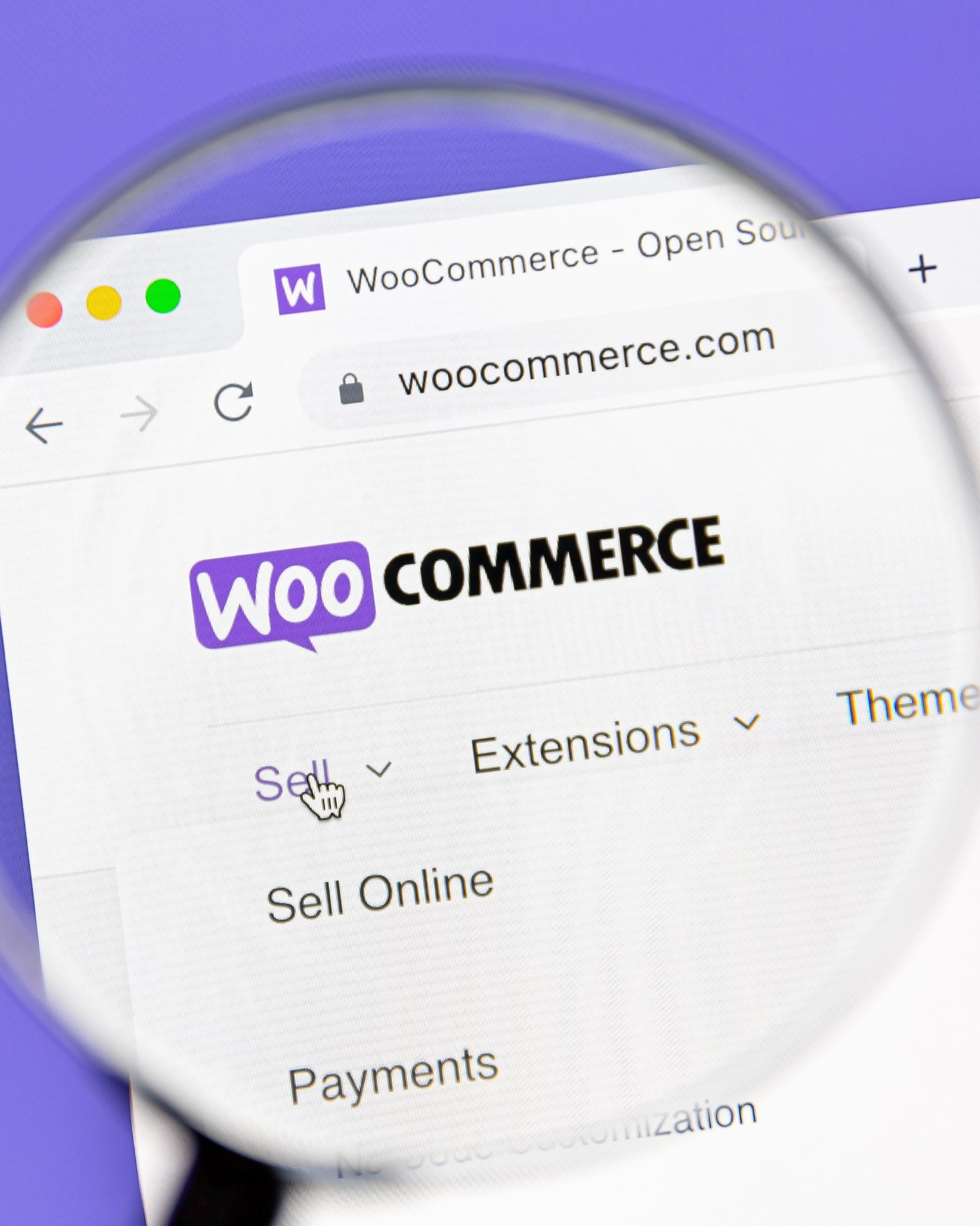 WooCommerce Development