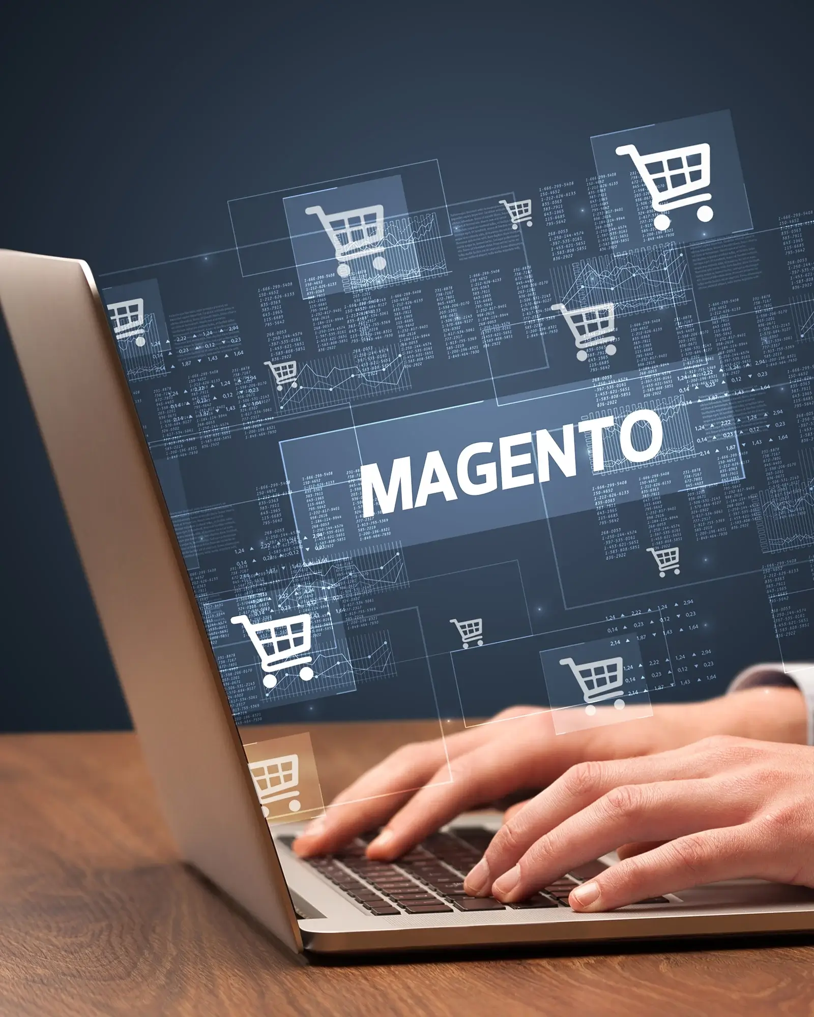 Magento Modules Creation and Management
