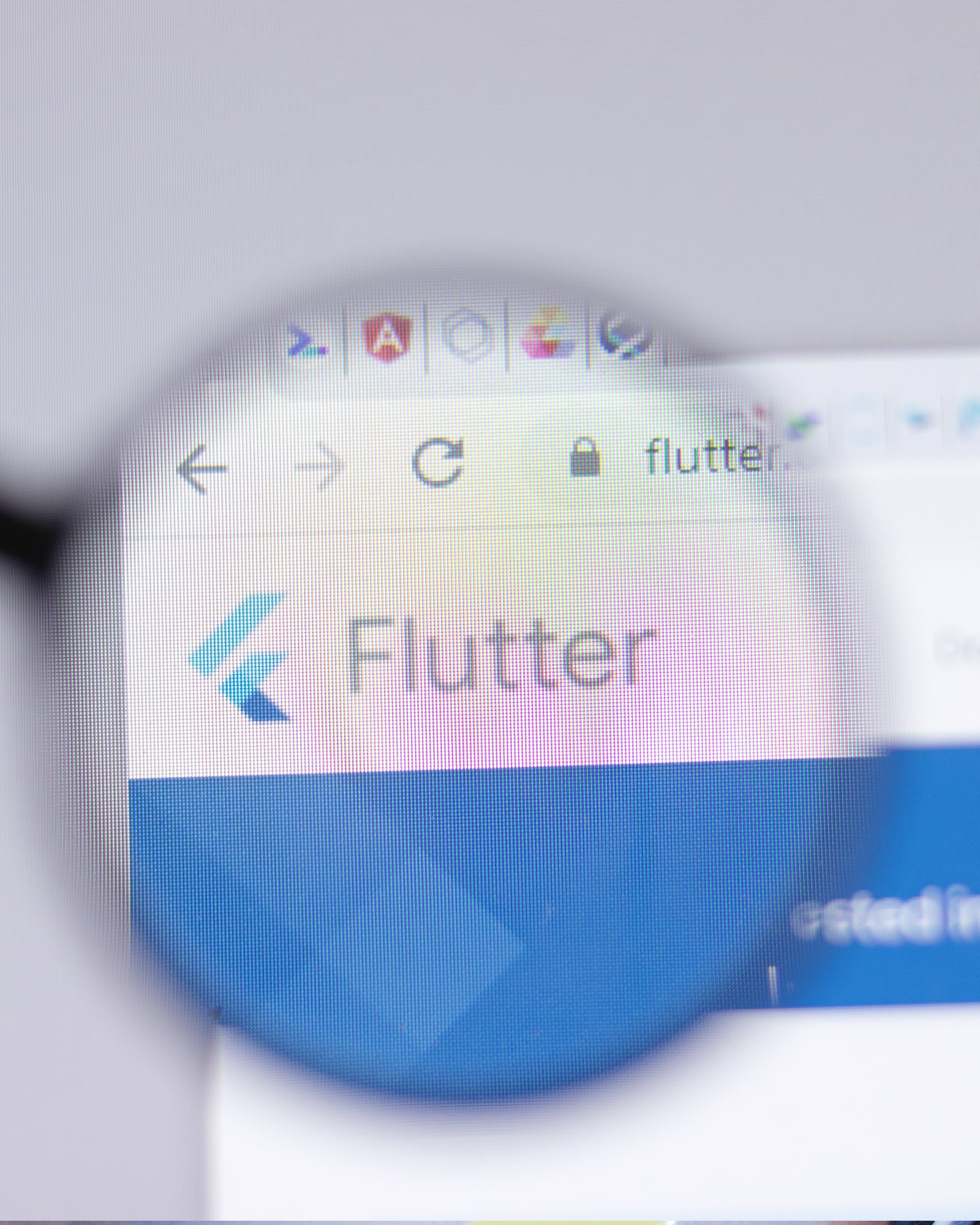 Flutter Consulting Services