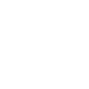 ISO-icon