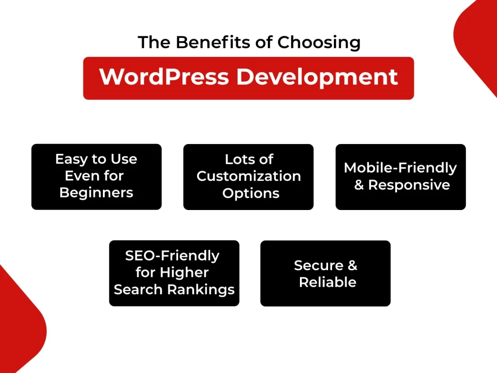 wordpress development services provider